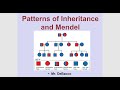 Mendelian Genetics Concepts