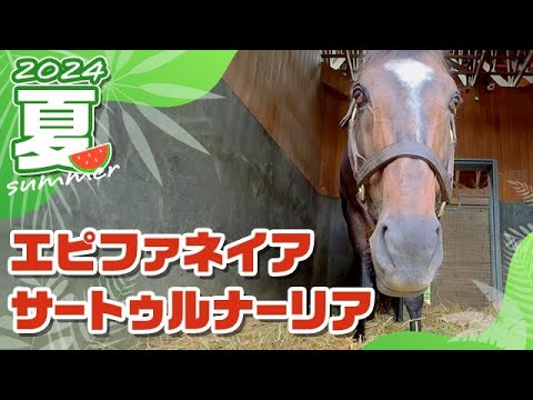 エピファネイアとサートゥルナーリアの今