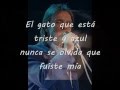 Comprensión del Gato Triste y Azul