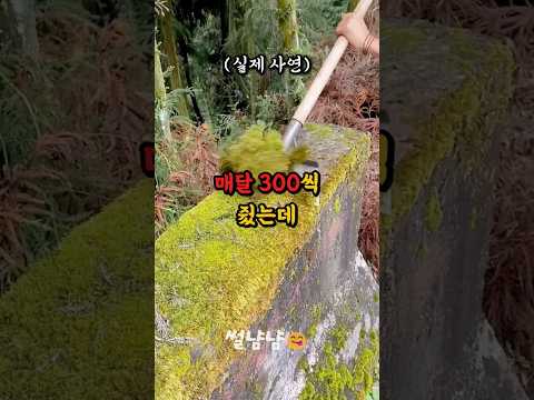 며느리에게 매달 300만원씩 줬는데 너무 충격입니다 #shorts #부부