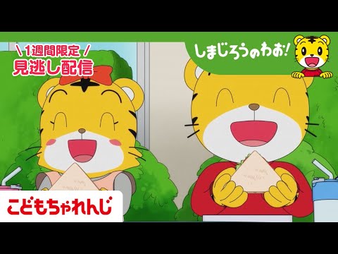 【見逃し配信】テレビ番組「しまじろうのわお！」 6月21日放送 ｜はくぶつかんで わお！｜#678 【しまじろうチャンネル公式】