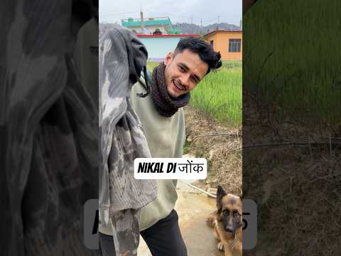 Jonk nikalna sikho 🫡😎#germanshepherd  #pitbulldog #leech #dogtraining #animalshorts #petlovers