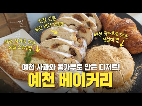 예천 사과와 콩가루로 만든 디저트! 예천 베이커리 | 테마기행 길 | 25년 6월 27일