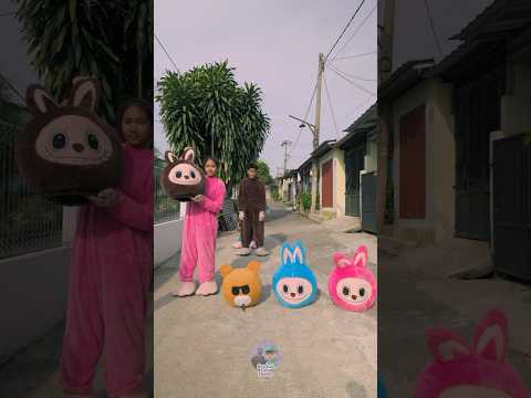 Semua Labubu Dipilihin Kepala