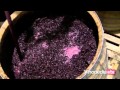 Elaboración del Vino y Técnicas