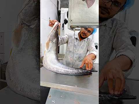wow beautiful river giant Boal fish 🐟🐟 cutting skills video 🔥⛵ fish cutting show #youtubeshorts