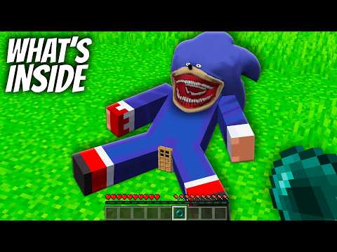 What's INSIDE the SONIC TAPES in Minecraft ? I found a SECRET DOOR in SONIC TAPES !