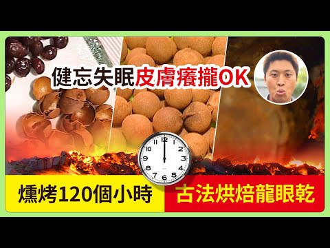 燻烤120個小時~古法烘焙龍眼乾！健忘 失眠 皮膚癢 攏OK│《經典好節目》大特寫_精選版(回顧系列)