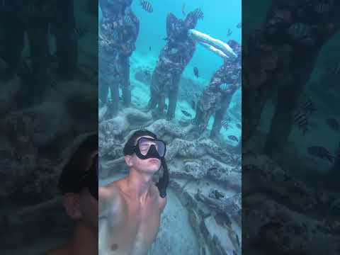 bubble rings at the statues #travel #indonesia #gilit #snorkelling #freediving