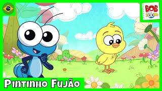 Pintinho Fujão | Bob Zoom | Vídeo Infantil Musical Oficial @BobZoom