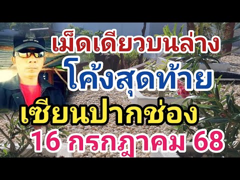 เซียนปากช่อง โค้งสุดท้าย ฟันธง เม็ดเดียว บนล่าง งวด,16 กรกฎาคม 68