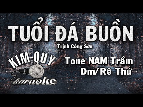 TUỔI ĐÁ BUỒN – KARAOKE – Tone NAM Trầm ( Dm/Rê Thứ )