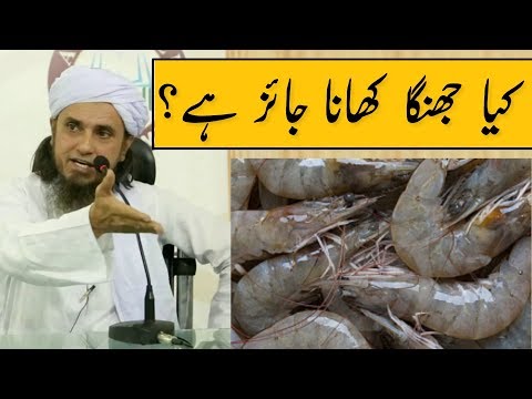 Kya Jhinga (Prawns) Khana Jaiz Hai? Mufti Tariq Masood | Islamic Group