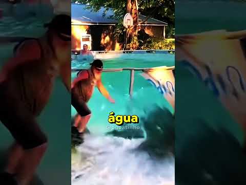 PORQUE ELES RASGAM A PISCINA? 🤽‍♀️