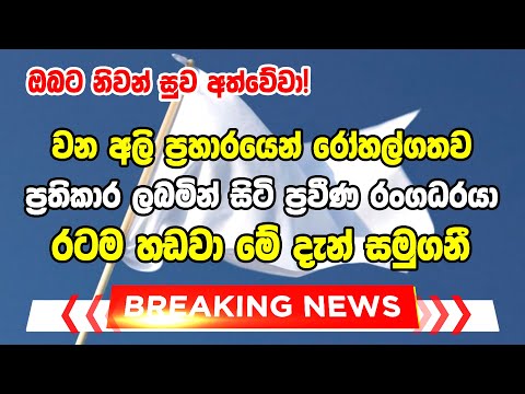 hiru sinhala |  BREAKING NEWS |  here is special  | news just received News  ADA DERANA NEWS HIR