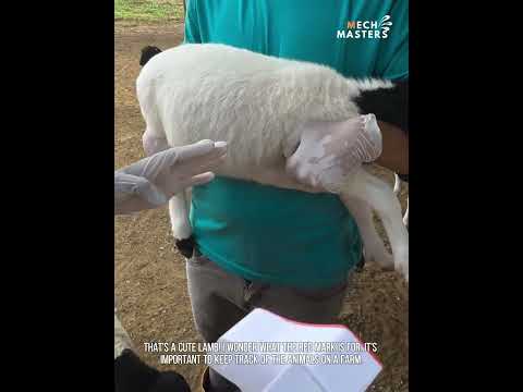I love this video so much #shorts #funny #fails