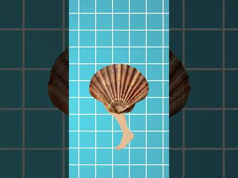 How Do Clams Swim??