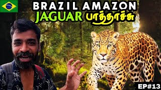 🐆ரொம்ப நாள் ஆசை நிறைவேறிடுச்சு👍|🇧🇷Brazil Amazon EP13