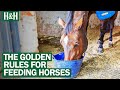 Horse Feeding and Care Assessment