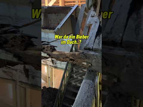 Zimmerermeister erklärt: Balkensanierung + Kräfte die wirken #handwerk #shorts #carpenter #wissen