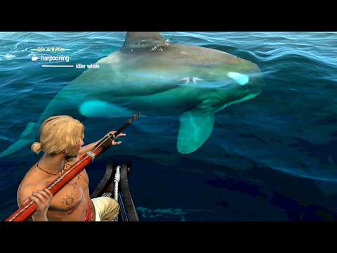 Assassin's Creed 4 Black Flag Harpooning Sea Animals with Master Edward Subscriber Request Ep 184