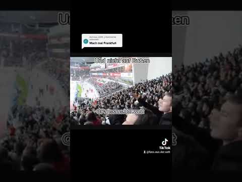 SGE Fans in Leverkusen am Sticheln!
