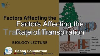 Factors Affecting the Rate of Transpiration