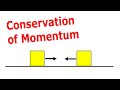 Momentum and Collisions Concepts