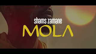 Shams Zamane - Mola [ Visualizer / 2025 ]