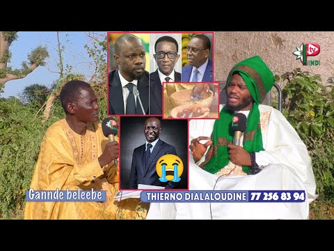 🚨URGENT: LEGISLATIVE 2024 THIERNO DIALALOUDINE fait de graves révélations