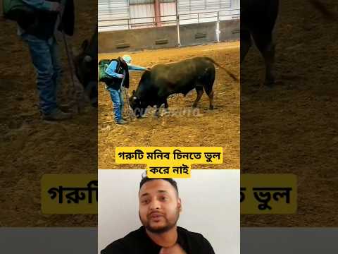পশুরা মনিব চিনতে ভুল করে না আর আমরা মানুষেরা মনিব চিনতে ভুল করি। #shorts #shortvideo #duet #cow #গরু