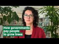Tree Planting and Restoration Strategies