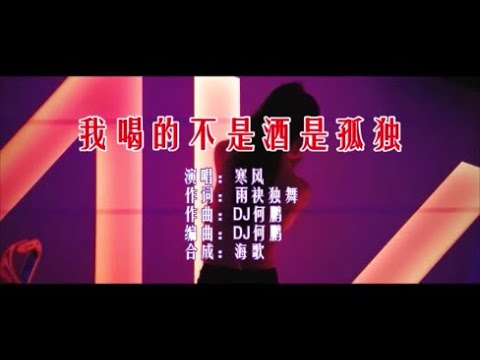 寒风 《我喝的不是酒是孤独 （DJ何鹏版）》 KTV 导唱字幕 （备有伴奏视频）