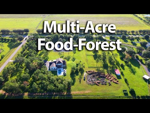 Multi-Acre Food Forest in Sarasota, FL!