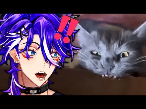 RiiKami Reacts to UNUSUAL MEMES 3