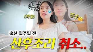 쌍둥이 출산 일주일 전 산후조리 취소 통보…그 이후🤯