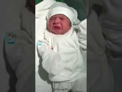 شوفو العسل ما شاء الله 💙ربي يرزق كل مشتهي الذرية الصالحة 🤲