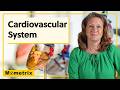 Circulatory System Concepts