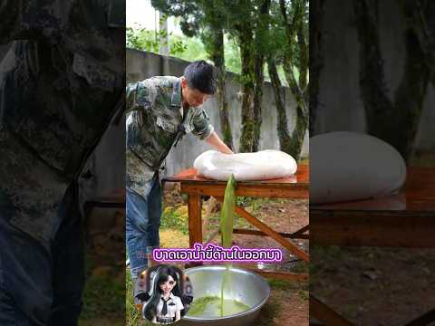 ลุงถึงกับตกใจ! อาหารสูตรลับเหม็นแต่อร่อย