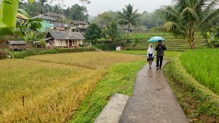 BIKIN BETAH! SUASANA PAGI DI PEDESAAN, KABUT DAN HUJAN TURUN MENGGUYUR KAMPUNG TERTINGGI YANG INDAH