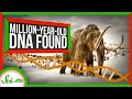 Understanding Ancient DNA and Antarctic Discoveries