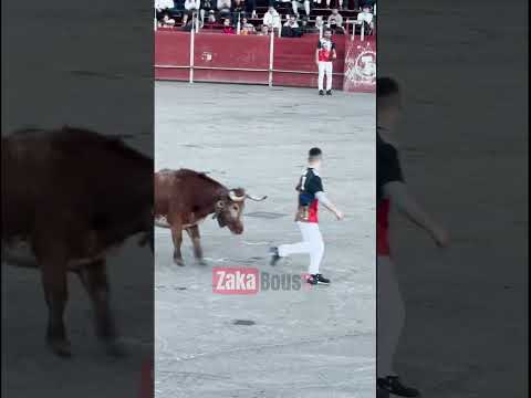 Esencias de la calle en asfalto, la valld d’uixó Castellon 2024 @Aron murillo “balilla”