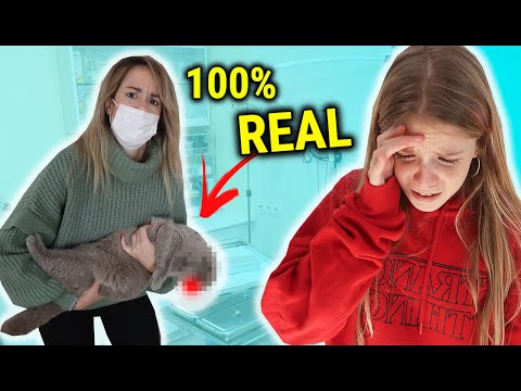 MI GATO SE AHOGA VAMOS AL HOSPITAL DE URGENCIAS CASI SE MUERE 😭 DANIELA LLORA