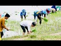 Persepsi Masyarakat terhadap Pertanian