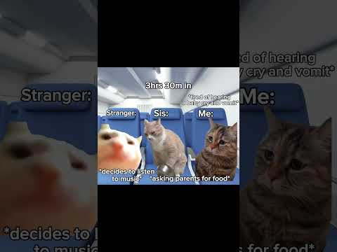 Part 2 Outt! #cat #fypシ゚viral #meme #relatable #catmemes #fyp #catpov #relatablepov #viral