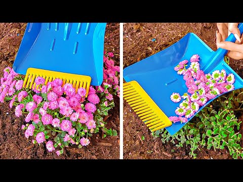 Surprising Gardening Hacks To Make Your Home Plants Grow