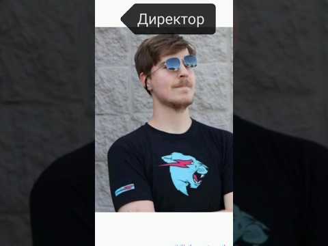 школа блогеров