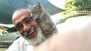 Sevginin bin bir hali…