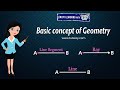 Exploring Basic Geometric Concepts: Points, Lines, and Rays