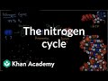 Understanding the Nitrogen Cycle